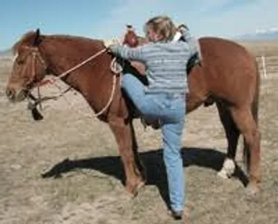 Illustration mount - Image 2