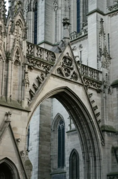 Illustration circular - Image 1