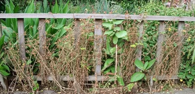 Illustration closure - Image 1