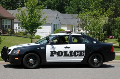 Illustration panda - Image 1