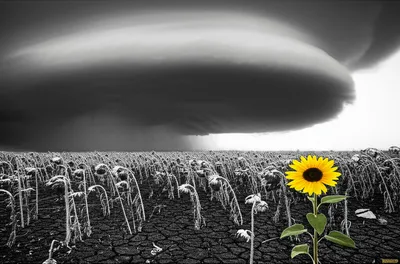 Illustration oppresses - Image 1