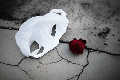 Illustration cheap - Image 1