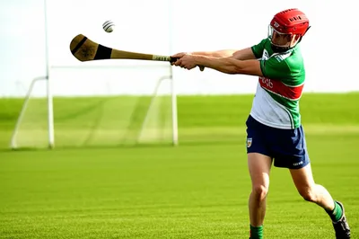 Illustration hurl - Image 1