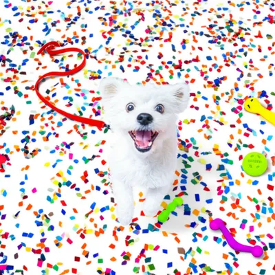 Illustration overexcited