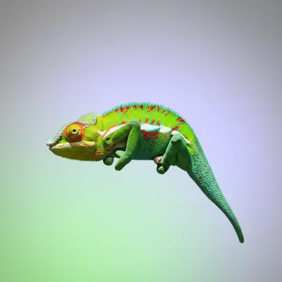 Illustration inflecting - Image 1