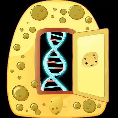 Illustration competent - Image 1