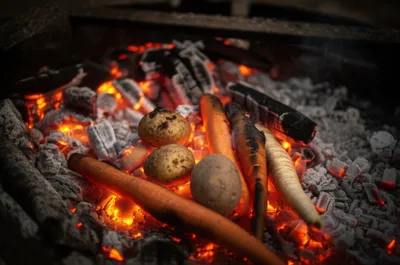 Illustration roasted - Image 1