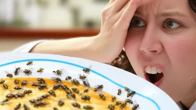 Illustration repulse - Image 1