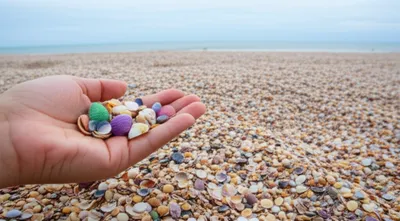 Illustration piling - Image 1