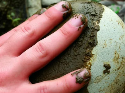 Illustration mud - Image 1