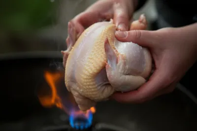 Illustration singeing - Image 1