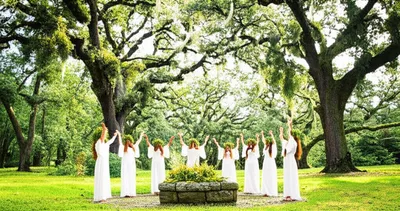 Illustration grove - Image 1