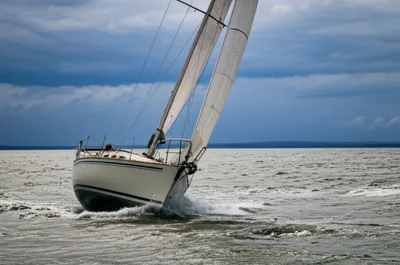 Illustration windward - Image 1