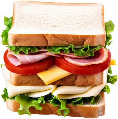 Illustration dish - Image 1