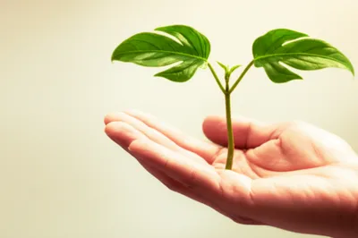 Illustration security - Image 1