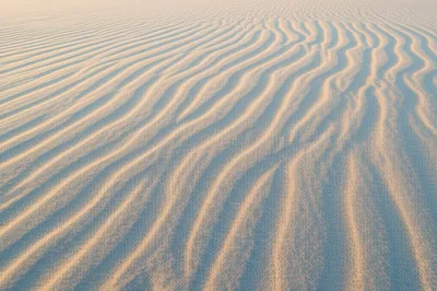 Illustration ridged - Image 1