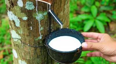 Illustration caoutchouc