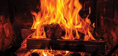 Illustration firewood - Image 2