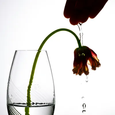 Illustration patients - Image 1