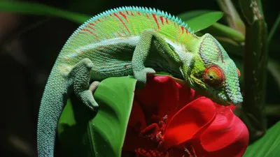 Illustration modifiers - Image 1