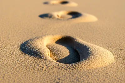 Illustration followed - Image 1