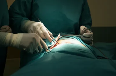 Illustration costs - Image 1