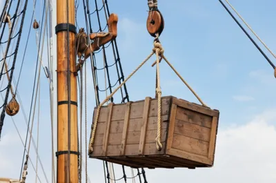 Illustration garnet - Image 1