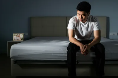 Illustration gander - Image 1