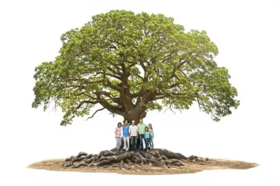 Illustration betting - Image 1