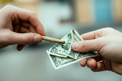 Illustration number - Image 1