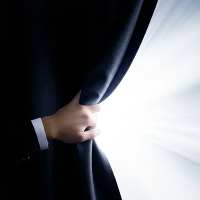 Illustration discovery - Image 1