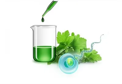 Illustration extractions - Image 1