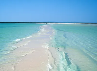 Illustration bar - Image 1