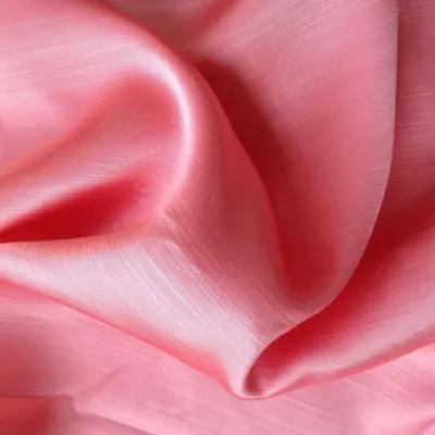 Illustration rayon - Image 2