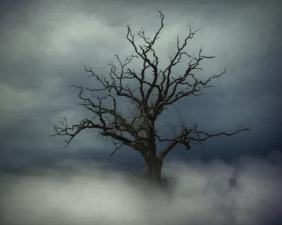 Illustration shroud - Image 1