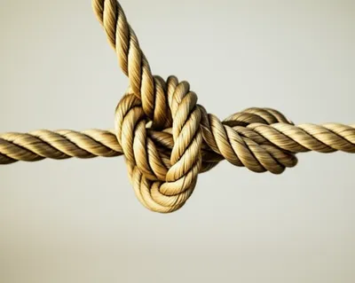 Illustration reduction - Image 1