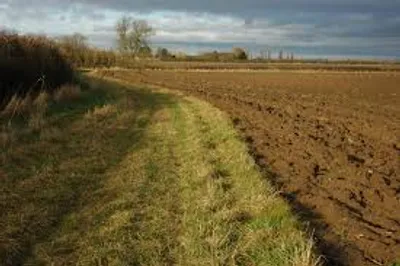 Illustration headland - Image 2