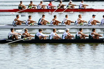 Illustration eights - Image 1