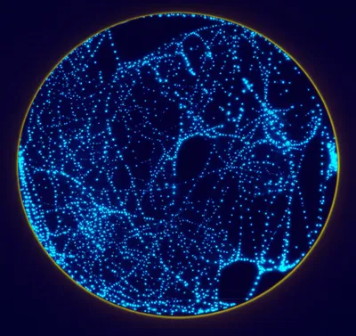 Illustration interiors - Image 1