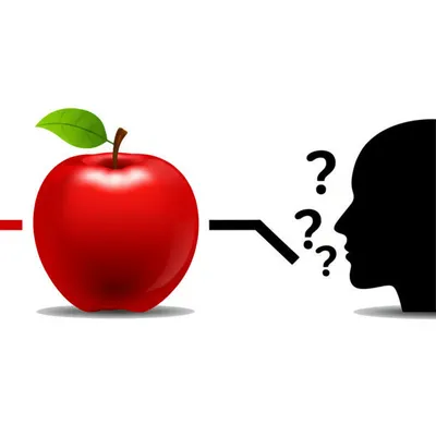 Illustration compare - Image 1