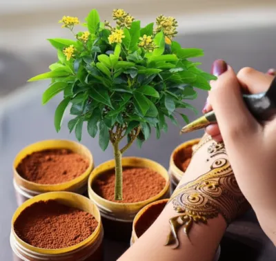 Illustration mignonette - Image 1