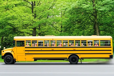 Illustration busses - Image 1