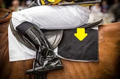 Illustration weight - Image 3