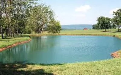 Illustration pond - Image 2