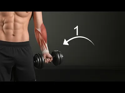 Illustration reps - Image 1