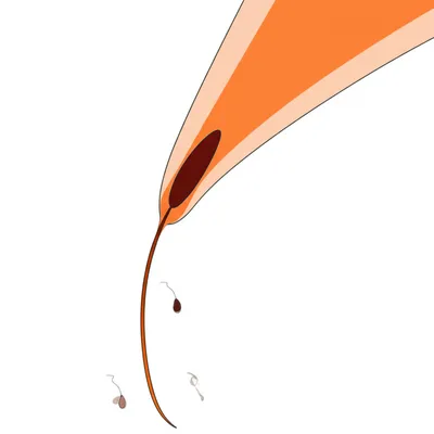 Illustration seed - Image 1