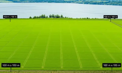 Illustration hectare