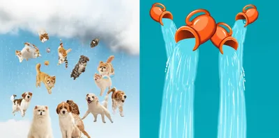 Illustration calques - Image 1