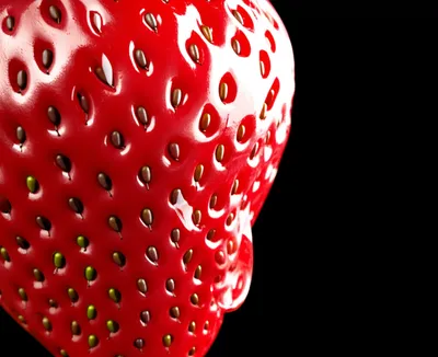 Illustration bittersweet - Image 1