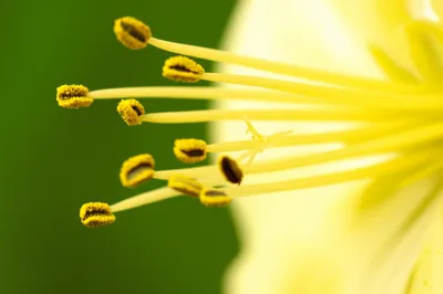 Illustration imperfect - Image 1